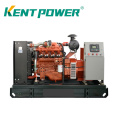 Low Consumption 40kw/50kVA Biogas Generator Electric Green Genset Power Plant Used